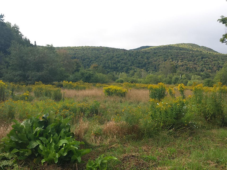 2nd image of 0 Old County Lane