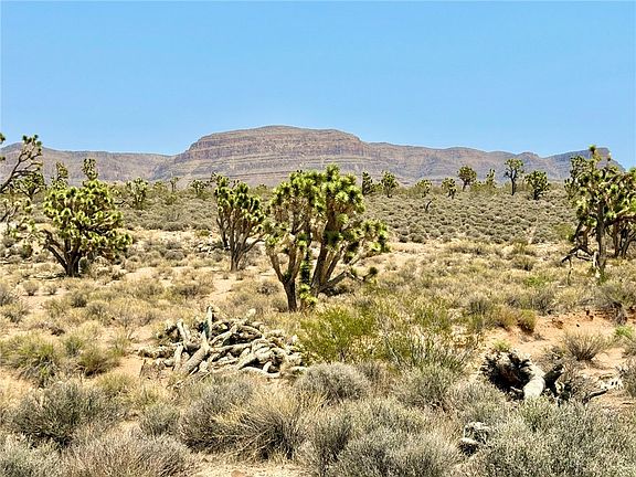 3rd image of 26681 Yucca Road