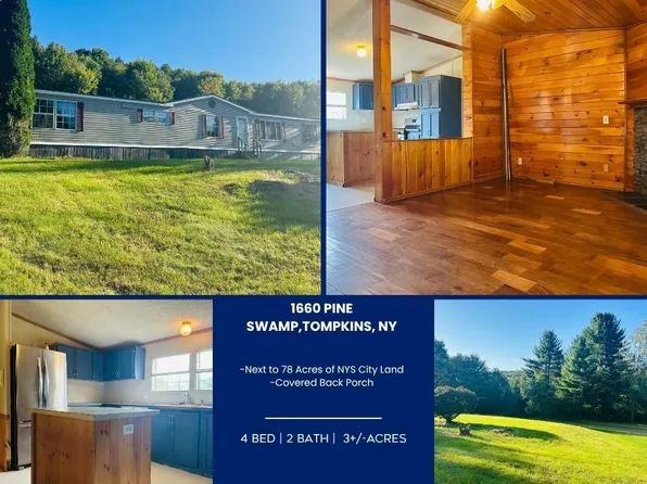 1660 Pine Swamp Rd, Sidney Center, NY 13839