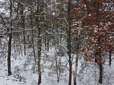 Lot 261 Tomahawk Trail #261, Necedah, WI, 54646