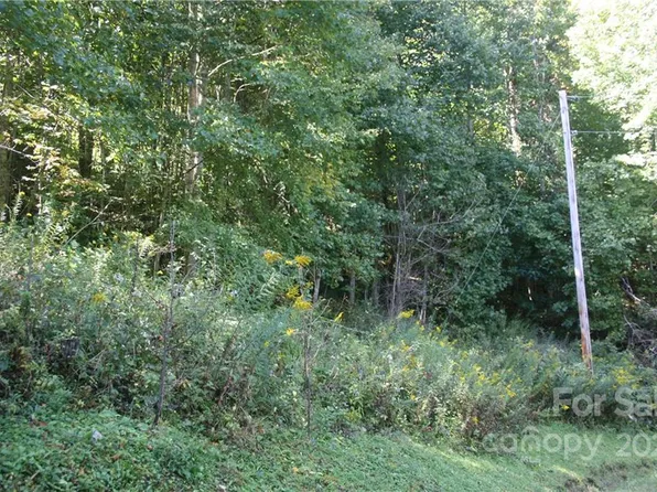 9 Haw View Dr #9, Mars Hill, NC 28754