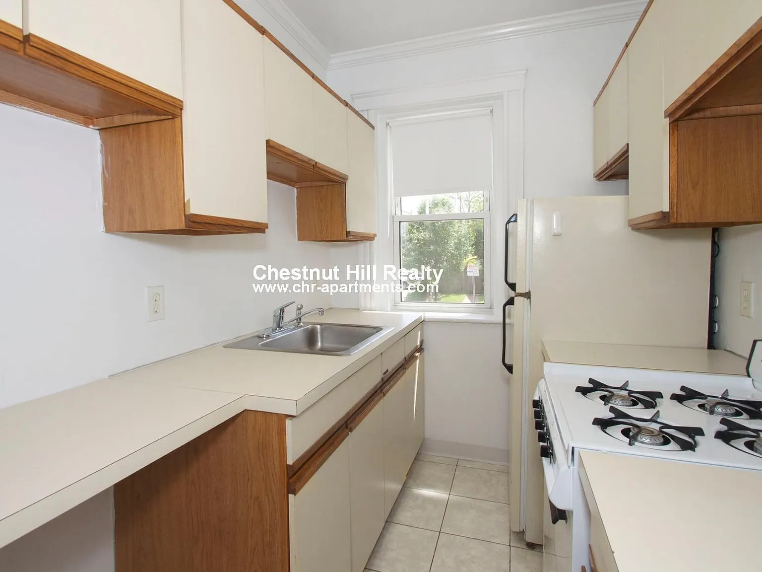 37-41 Wendell St — Photo 2