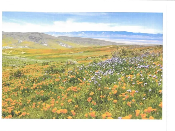 0 Cooperstown Rd Lot 125, Santa Margarita, CA 93453