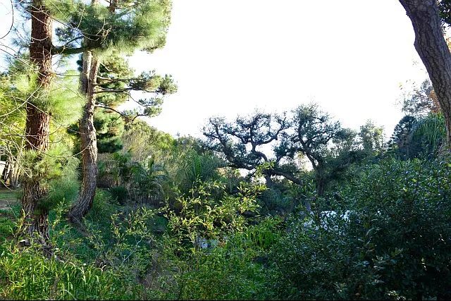 2366 Nichols Canyon Rd #A — Photo 18