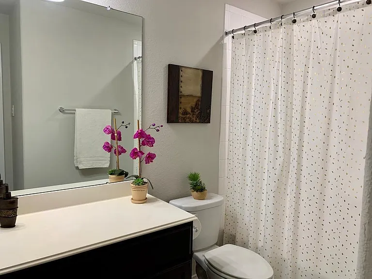 24207 Oakdale Hills Ct — Photo 23
