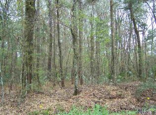 31445 E Avants Rd, Walker, LA 70785