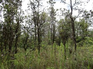 11-1775 Paniolo St, Mountain View, HI 96771