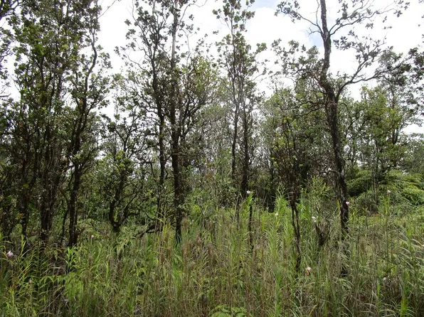 11-1775 Paniolo St Lot 17, Mountain View, HI 96771