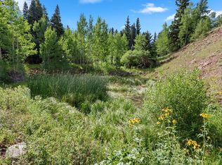S Meadow Rd, La Veta, CO 81055