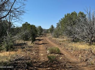 024-205 N Pineveta Rd #20, Ash Fork, AZ 86320