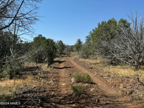 024-205 N Pineveta Rd #20, Ash Fork, AZ 86320