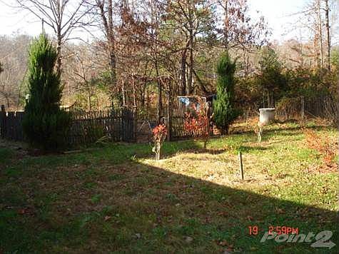 20 Tall Tree Murphy 007