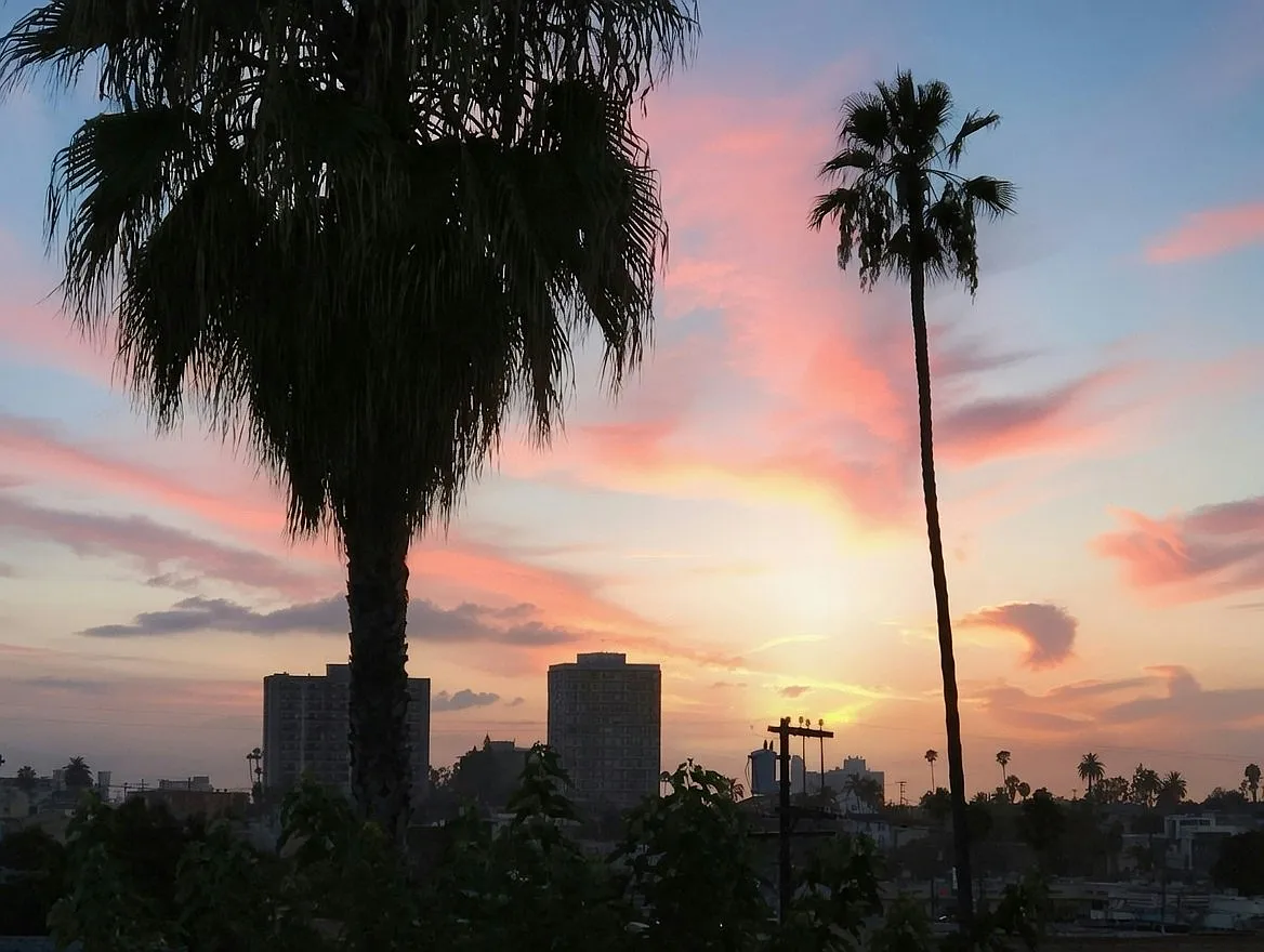 Roof top sunset view
