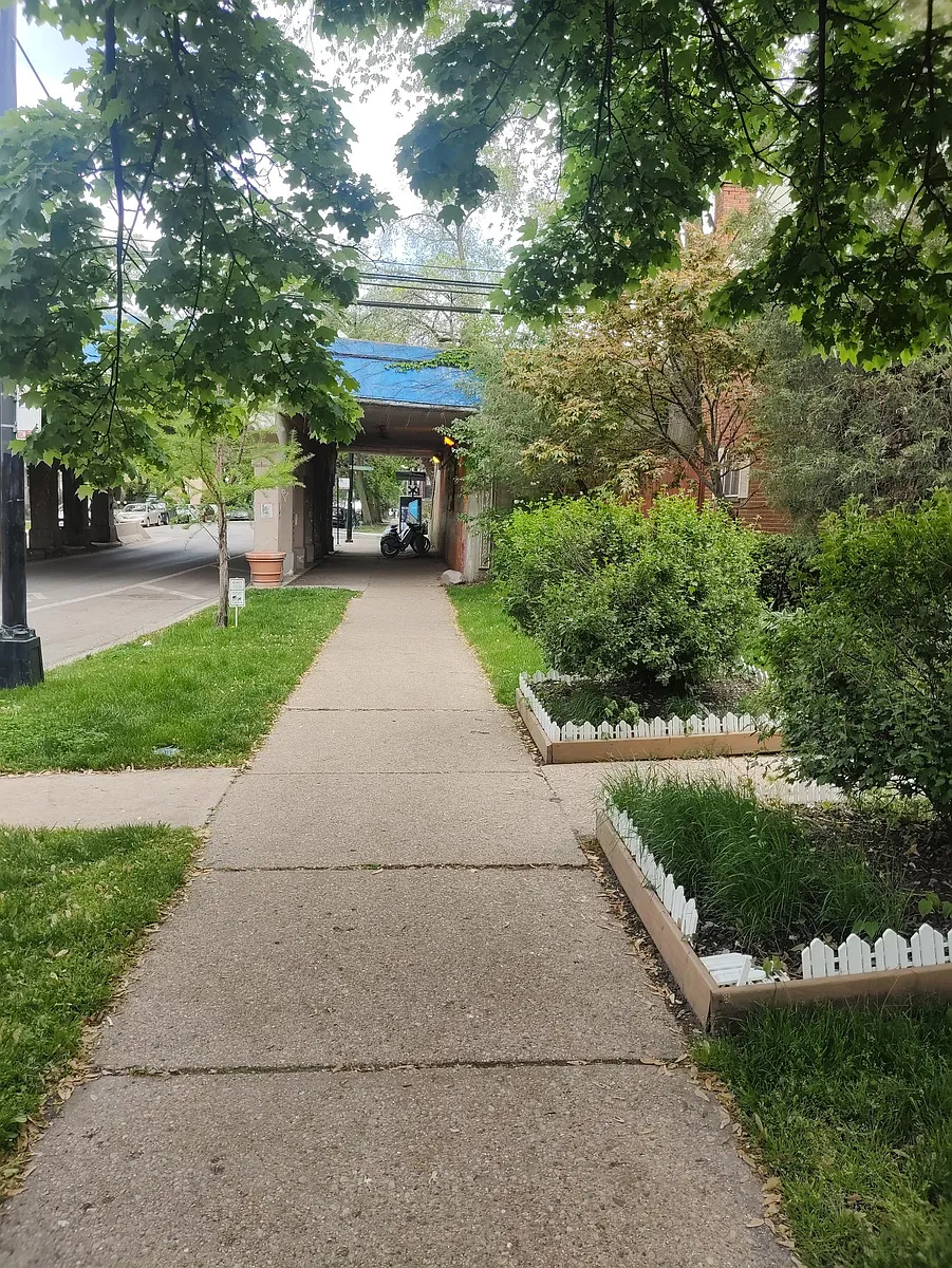 Direction to Loyola park - 1411 W Touhy Ave