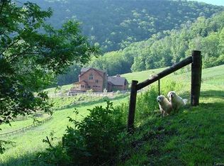 1975 Indian Camp Creek Rd, Hot Springs, NC 28743