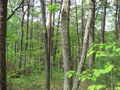 Township Road 32 Emery Creek Rd, Chatsworth, GA, 30705
