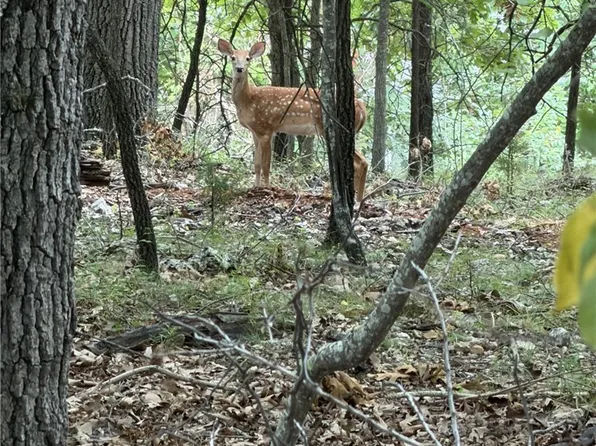 Navajo Rd, Lake Ozark, MO 65049
