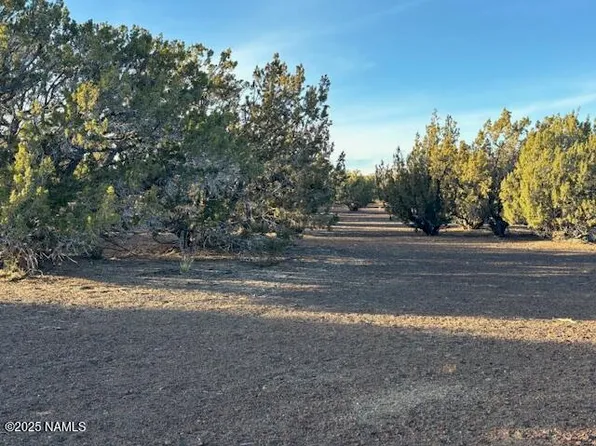 303-23-020 Alpine Rnch, Flagstaff, AZ 86004
