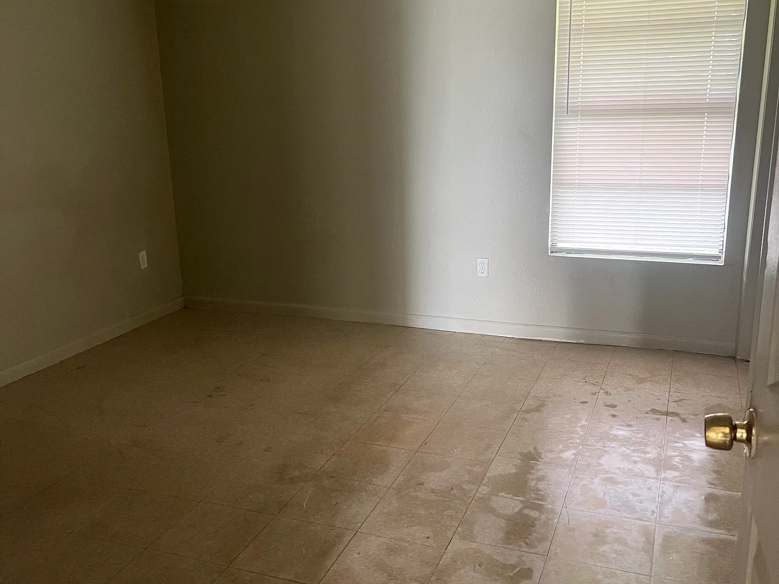 3 bed, 1362 sqft, $1,500 — Photo 4