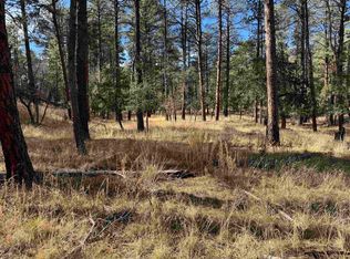 29 Homewood Dr, Timberon, NM 88350