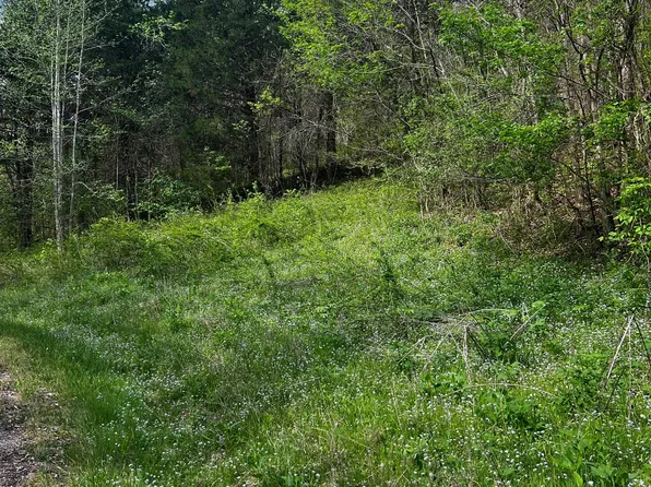 0 Weber Ln Lot 7, Celina, TN 38551