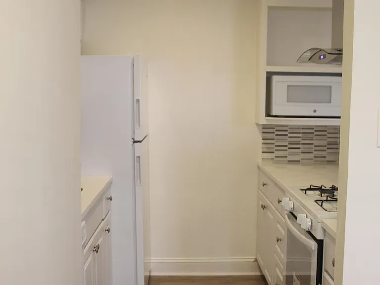 1133 N Randolph St #101 — Photo 5