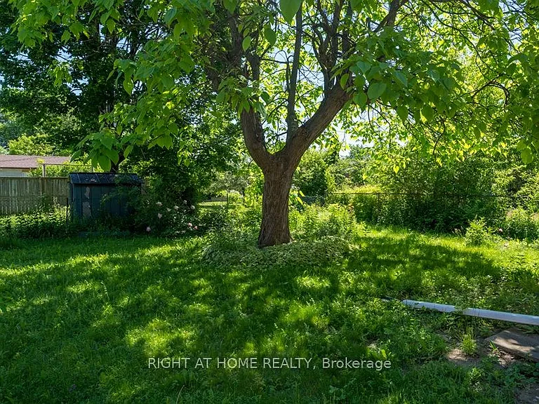 6 Bellvare Cres — Photo 28