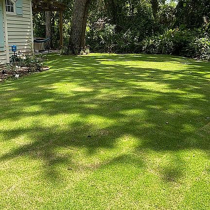 5th image of 1410 Florida Blvd