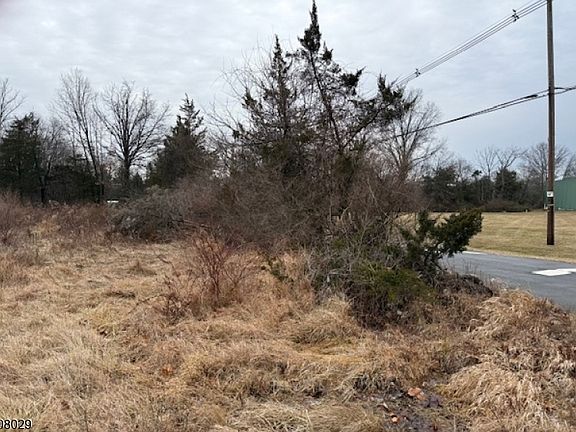 2nd image of 23 Coddington Road