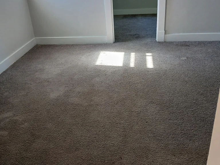 800 Bales Ct — Photo 21