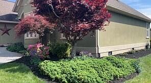 5th image of 244 Kensington Ct