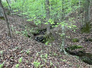 127 Water Oak Dr, Ellijay, GA 30540