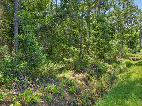 Mary Kitchens Rd, Milton, FL 32583