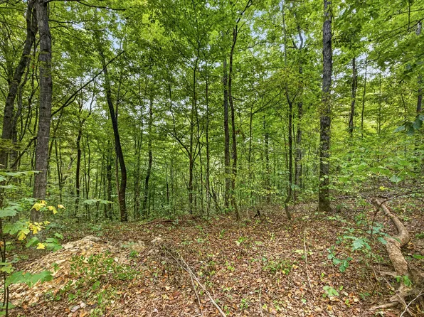 32 Timber Ridge Ln #Phase Ii, Celina, TN 38551