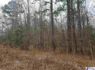 McCalls Mill Pond Rd, Bennettsville, SC 29512