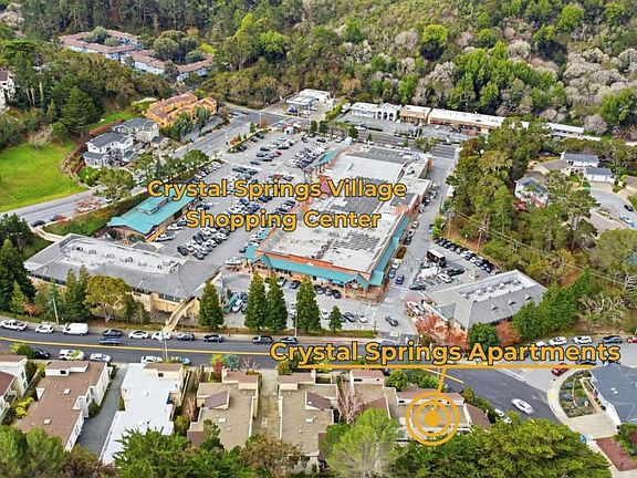 5th image of Parrott Sanmateo