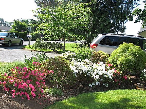 Front Flower Bed