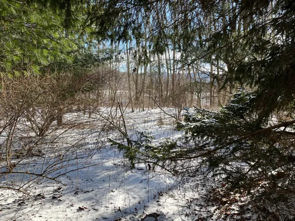 0 Old 17, Hancock, NY 13783