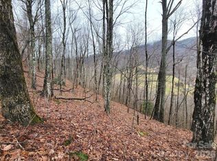 820 Chestnut Flats Rd #4, Waynesville, NC 28786