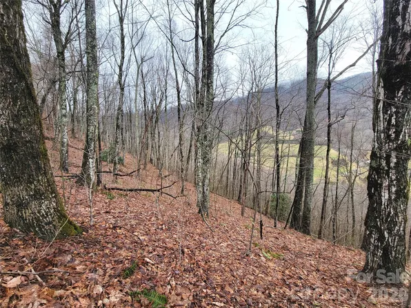 820 Chestnut Flats Rd #4, Waynesville, NC 28786