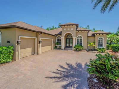 20142 Lace Cascade Rd, Land O Lakes, FL, 34637