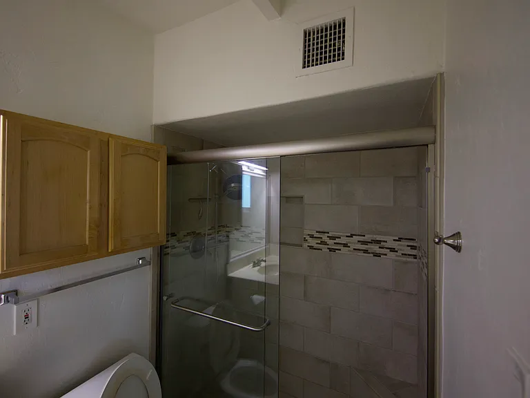 Walk-in shower of master bath
