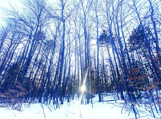 16684 Timberline Dr, Wolverine, MI 49799