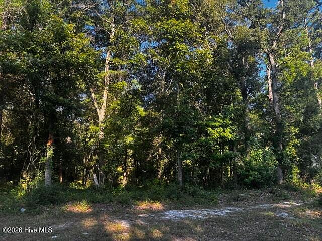 1st image of 2425 Sunset Harbor Rd SE Lot 1