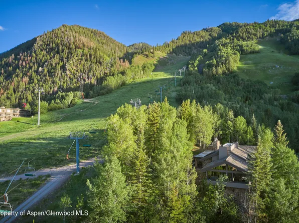730 S Galena St, Aspen, CO 81611