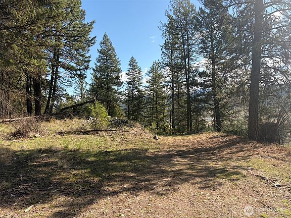 2nd image of 111 TBD West Curlew Lake Road