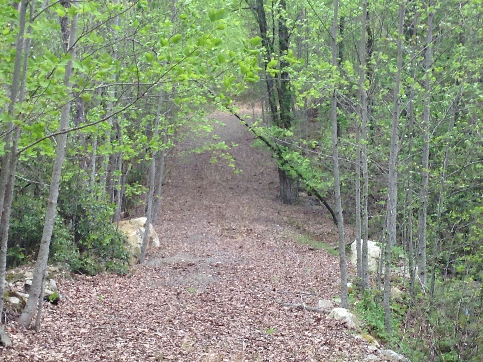 5723 Henderson Mountain Rd, Jasper, GA 30143 Zillow