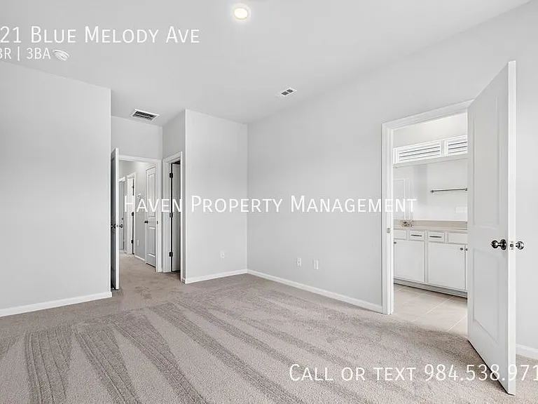 121 Blue Melody Ave — Photo 27