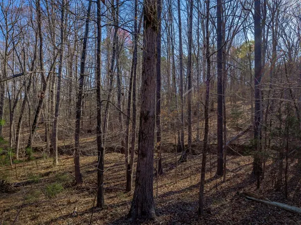 Narrow Bridge Rd, Chester, SC 29706