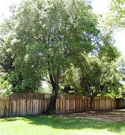 3rd image of 839 Oak Ln